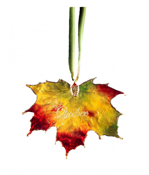 Fall Maple Leaf Quebec