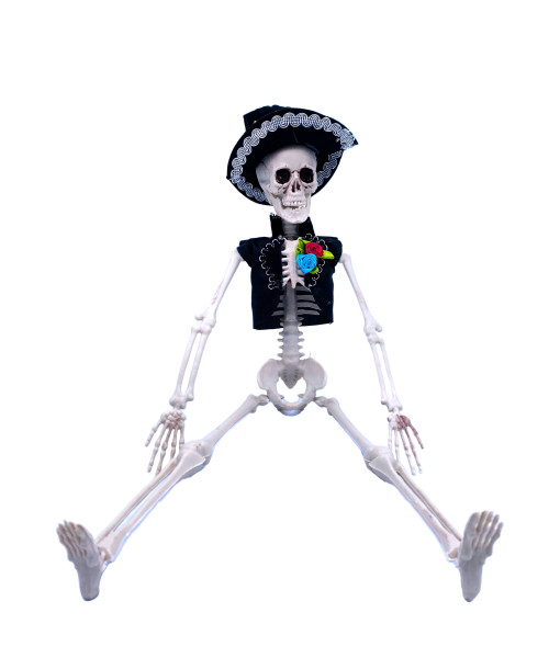 Male skeleton Ornament 18
