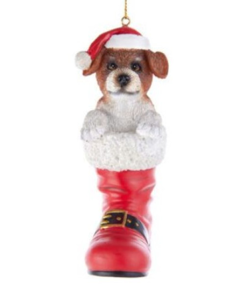 Jack Russell Terrier In Santa Boot