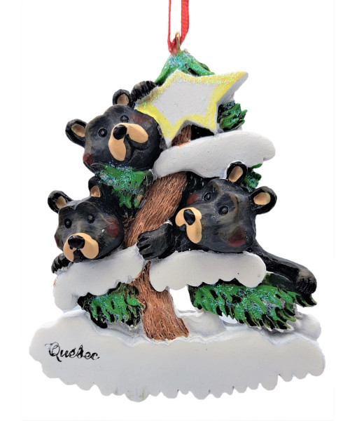 Three Bears Family On Tree