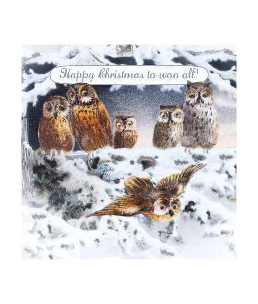 1 Card, Owls Christmas