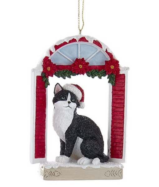 Chat noir avec chapeau de Père Noël dans un cadre de fenêtre