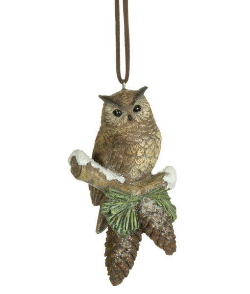 Ornament,  Forest owl on branch with pine cones