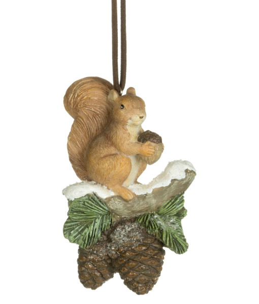 Ornament,  Forest squirrel on branch with pine cones