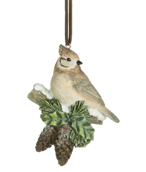 Ornament, Forest bird on branch with pine cones