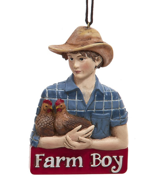 Ornement, garçon de ferme, avec poules