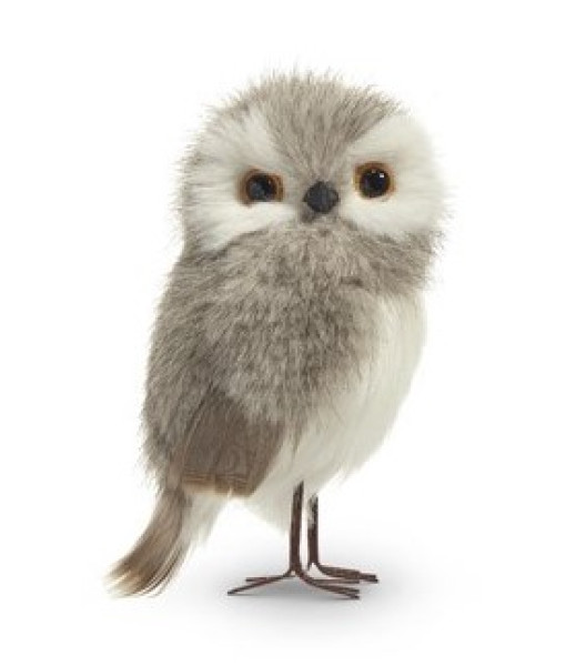 Ornement debout, Hibou gris