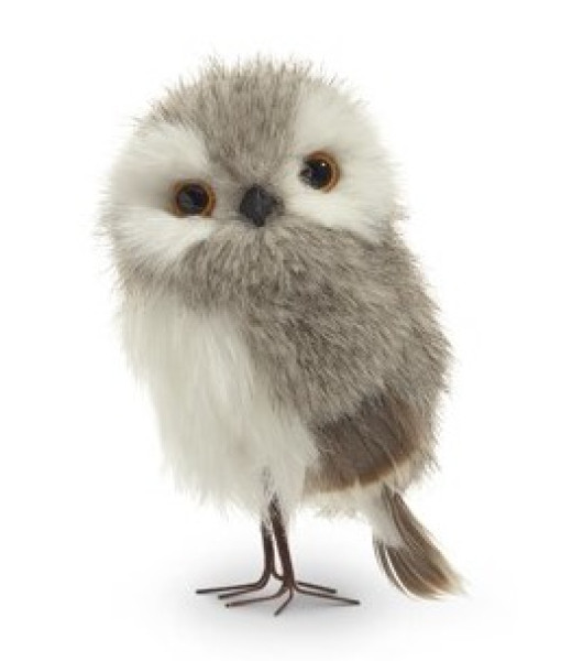 Ornement debout, Hibou gris