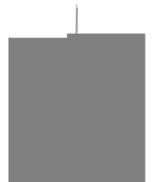 Ornement d'ours polaire opalescent