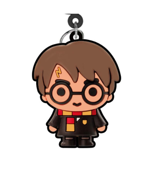 Porte-clés de collection Harry Potter, Harry Potter