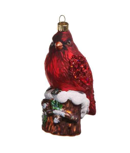 Ornement en verre, cardinal rouge reposant sur une branche