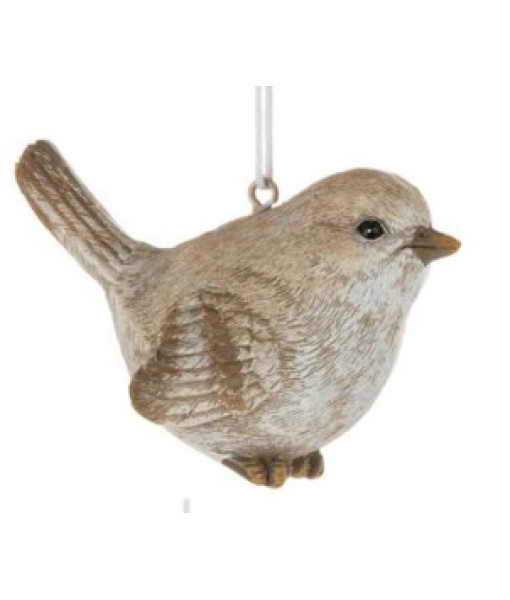 Oiseau de forêt brun et blanc