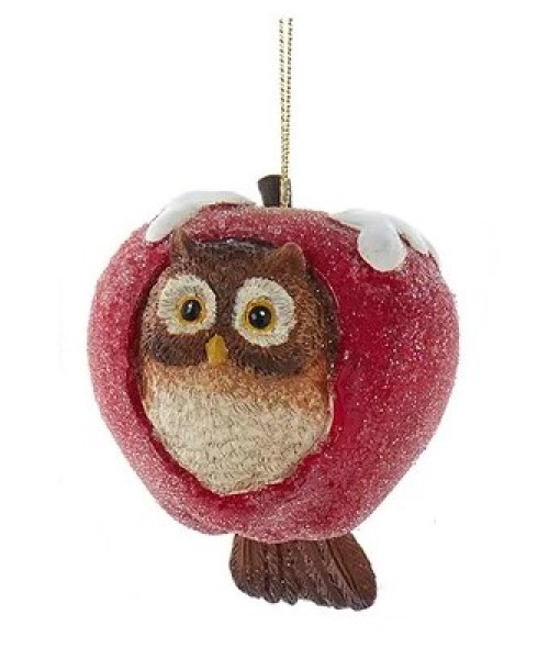 Ornement, Hibou givré en sucre dans une pomme