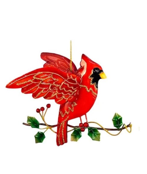 Cardinal rouge, sur une branche de houx