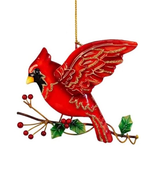 Cardinal rouge, sur une branche de houx