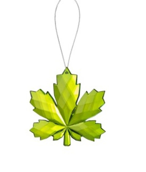 Ornement d'automne Wonderfall, érable vert.