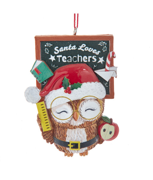 O-owl Teacher